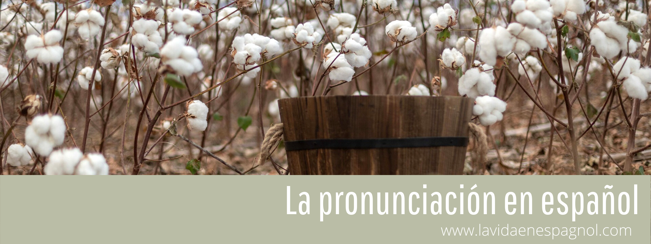La pronunciación en español