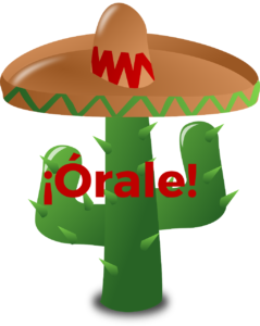 Cursos en grupo de español en línea