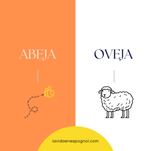 abeja y oveja en español